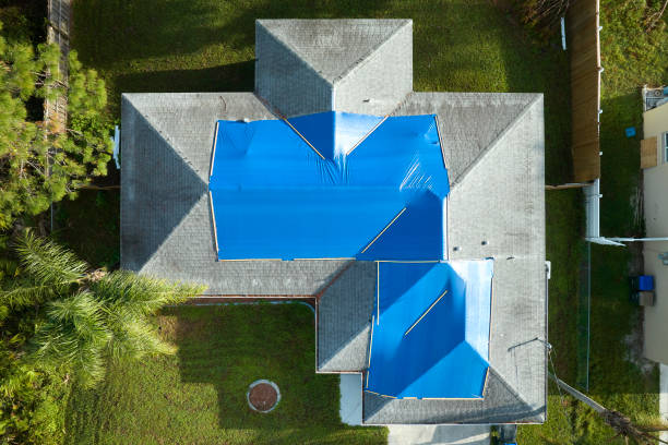 Best Sheet Metal Roofing  in Fennville, MI