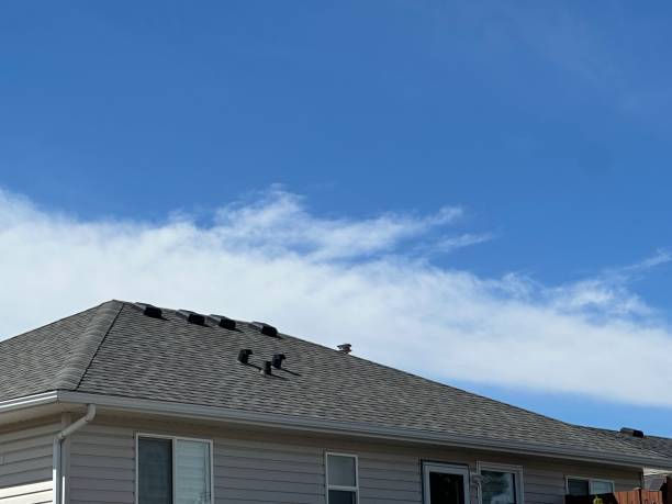 Best Asphalt Shingle Roofing  in Fennville, MI